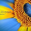Як у Луцьку відзначатимуть День Конституції України