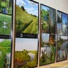У Луцьку відкрили фотовиставку «Цуманська пуща» в об’єктиві Андрія Остапенка»