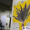 «Вибух» кольору: в Луцьку презентували виставку митця, який творить з 4 років