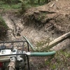 У лісі біля Івано-Франківська знайшли бункер часів Першої світової війни