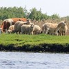 Пейзажі Волині на фото луцького мандрівника