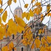 Луцькі двори – у «золоті осені». Фото
