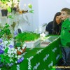 Цікавинки «Книжкового Арсеналу» - 2018 у фото