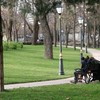 У Луцьку буде новий сквер