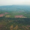Вчені виявили загублене місто в джунглях Камбоджі