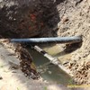 Всередині цукрового заводу: звідки запах?