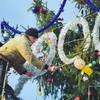 Як змінювався вигляд головної ялинки Луцька протягом років. ФОТО