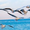 Зимова Одеса на світлинах луцького фотографа