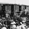 Понад 70 років тому з Польщі примусово виселили пів мільйона українців