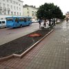 Луцькі клумби пропонують засадити вічнозеленими рослинами