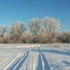 Морозний ранок у селі під Луцьком