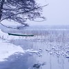 Чарівні світлини засніженого волинського озера