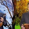 У Луцьку звучатимуть скрипки з Італії та України