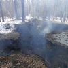 На Львівщині дотла спалили музей-криївку УПА 