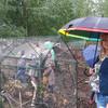 Лучани вивчали англійську під парасолями у Луцькому зоопарку