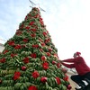 Різдво по-ливанськи: у Бейруті встановили ялинку з бананів. Фото