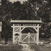 Як поляки господарювали у Біловезькій пущі у 1920-х роках