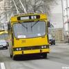 Вартість проїзду у луцьких тролейбусах хочуть збільшити 