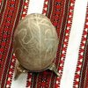 На Львівщині віднайшли унікальні стародавні писанки