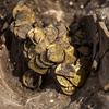 В Ізраїлі знайшли глиняну посудину із золотими монетами 