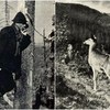 Володимир Пухальський, або фотограф галицького мисливства