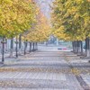 Осінній Луцьк із незвичного ракурсу. Фото