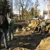 «Розрита могила»: в центрі Луцька на кладовищі альтанковий скандал