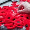 В Україні відзначають День перемоги над нацизмом