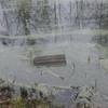 У луцькому парку з каналів витягнули смітники, які втопили вандали