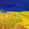 Мінкульт оприлюднив анімований ролик про історію України  