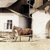 Кременець на кольорових фото 1930-х років