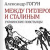 В Україні видали заборонену російську книгу про УПА