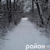 Світлини засніженого Шацького поозер'я