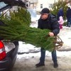 У Луцьку працює ялинковий ринок
