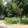 У Луцьку - новий парк