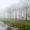 Луцький парк, оповитий туманом. Фото