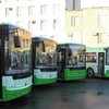 Луцьк хоче взяти кредит на 30 нових тролейбусів