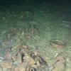 Неподалік узбережжя Норвегії на дні моря знайшли корабель, якому 250 років