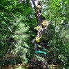 Юзефінський дуб: найстаріше дерево України. Фото