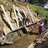 У річці на Житомирщині знайшли практично цілий старовинний човен. Фото
