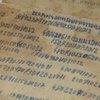 У старому вулику знайшли документи ОУН-УПА