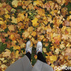 Золота осінь у Шацьку. Фоторепортаж
