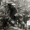 «Ведмеді» в Рожищі на ретро фото