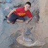 10-річний хлопчик знайшов рештки тварини, яка жила мільйон років тому