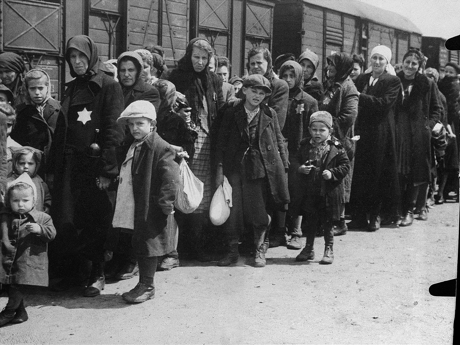 Альбом Аушвіц: фотоархів, випадково знайдений в казармі СС