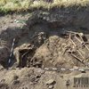 На Житомирщині виявили місце масового поховання солдатів, які загинули в липні 1941-го року
