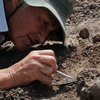 Вчені знайшли скам'янілості тварини, якій 250 млн років