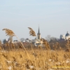 Зимовий парк на Гнідаві. Фоторепортаж
