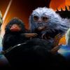 BBC та Warner Bros. створять фільм про тварин, які стали прообразами магічних істот книжок Джоан Роулінг 
