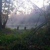 Осіння краса парку «Припять – Стохід». Фото